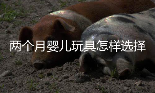 两个月婴儿玩具怎样选择?
