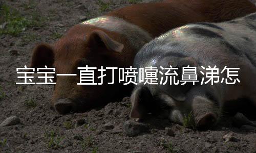 宝宝一直打喷嚏流鼻涕怎么办